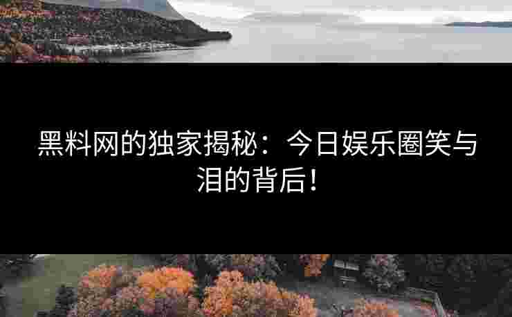 黑料网的独家揭秘：今日娱乐圈笑与泪的背后！