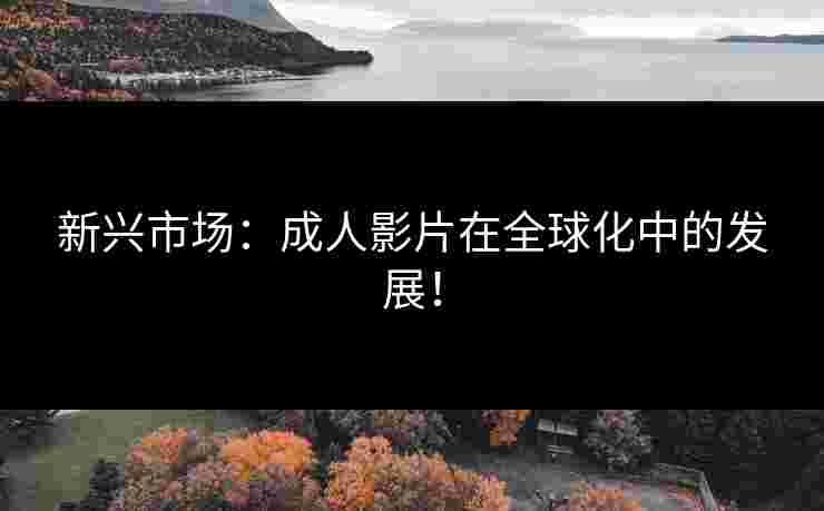 新兴市场:成人影片在全球化中的发展!