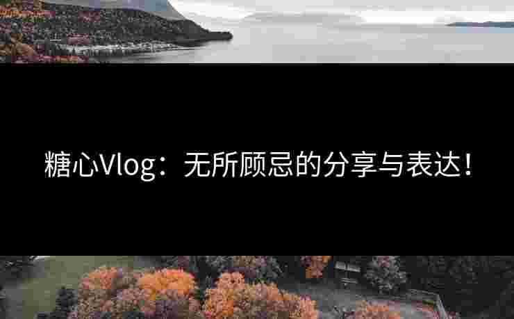 糖心Vlog：无所顾忌的分享与表达！